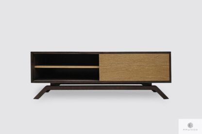 Modern TV console cabinet to living room CLEO