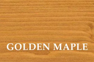Golden maple 3123