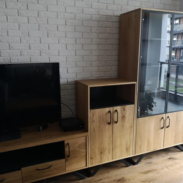 Szafka RTV, szafka, witryna z dębowego drewna w industrialnym stylu na wymiar kolekcja JORGEN