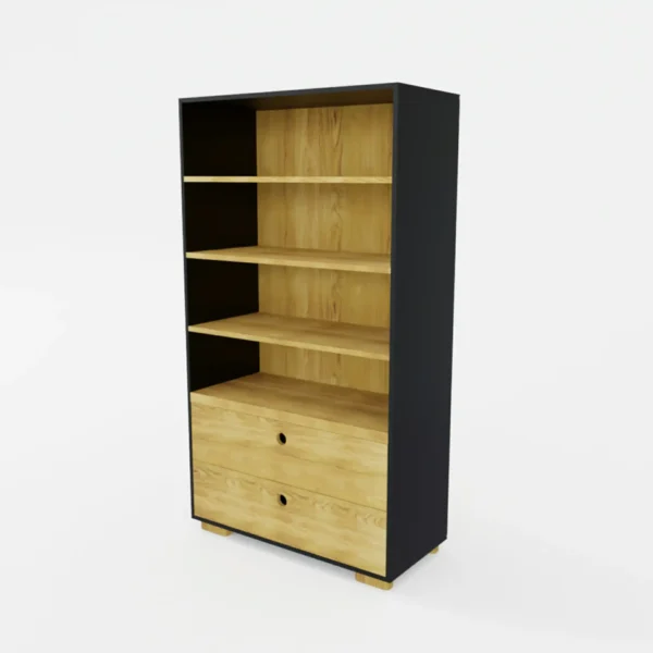 Large bookcase with drawers and shelves for the living room CARLA